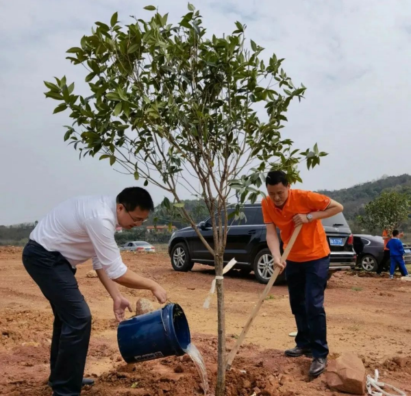 湖南金年会生态环境建设有限公司,人造草坪假草皮,湖南雨水收集处理工艺 湖南金年会生态环境建设有限公司,人造草坪假草皮,湖南雨水收集处理工艺