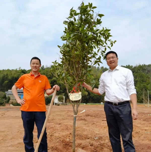 湖南金年会生态环境建设有限公司,人造草坪假草皮,湖南雨水收集处理工艺 湖南金年会生态环境建设有限公司,人造草坪假草皮,湖南雨水收集处理工艺
