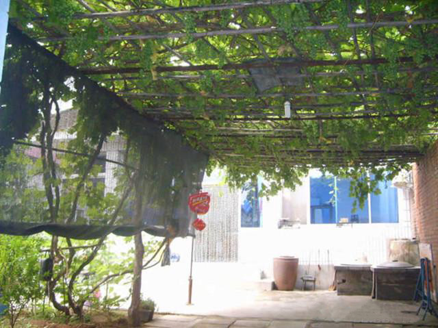 湖南金年会生态环境建设有限公司,人造草坪假草皮,湖南雨水收集处理工艺 湖南金年会生态环境建设有限公司,人造草坪假草皮,湖南雨水收集处理工艺