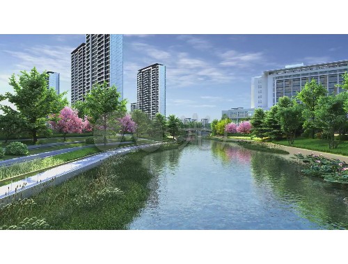 桐城市政绿化树价格