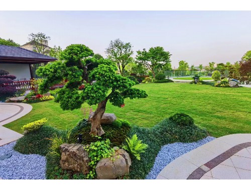 桐乡市绿化市容局副局长