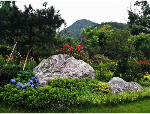 新密绿化公司沈海岑