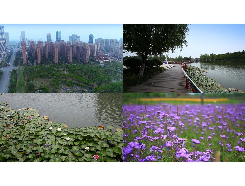 娄底市政绿化包括哪些内容