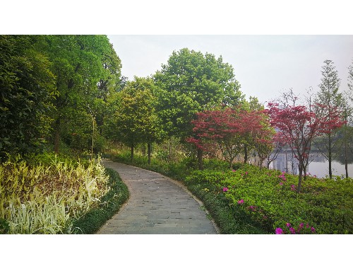 市政绿化工程审计报告范文