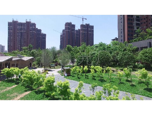 常熟市政绿化工程报价清单表格