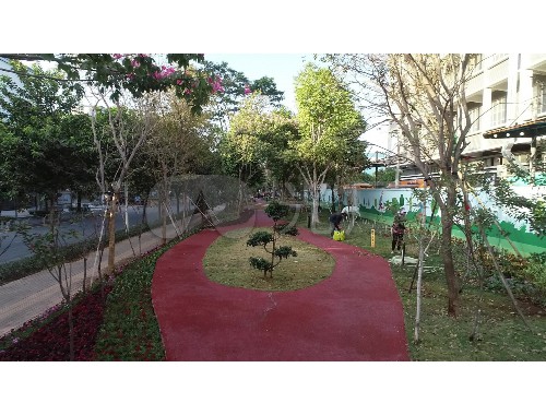 新郑市庭院绿化工程招标