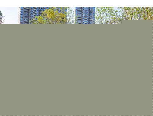 宜城市绿化公示