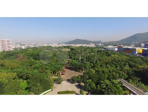 徐州河岸绿化工程招标