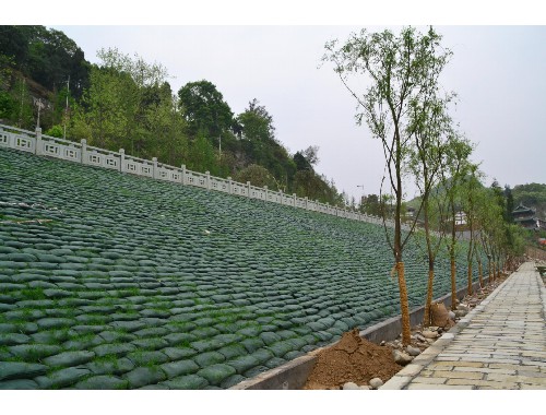 园林绿化工程施工技术实践