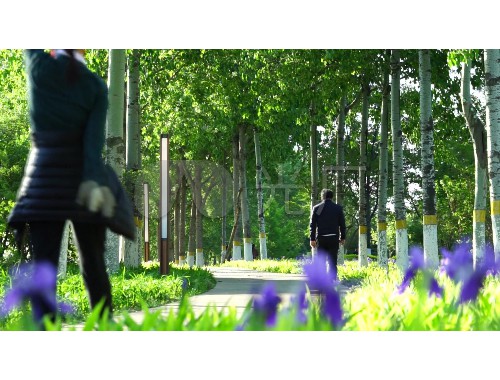 寻乌绿化工程招标公告网