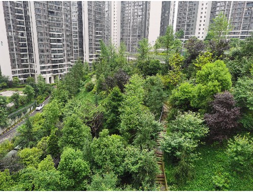 榆祁高速绿化工程