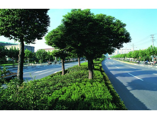 新乡景观绿化工程公司