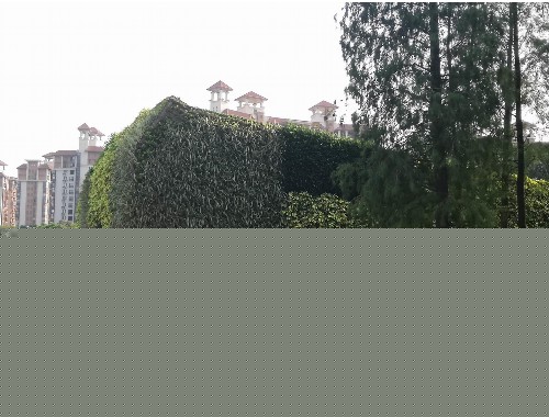 永胜程海环湖绿化工程